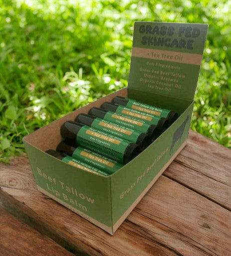 Beef Tallow Lip Balm - Tea Tree Oil Box